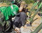 Hamas Tak Cantumkan 'Penghancuran Israel' dalam Agenda Pemilu